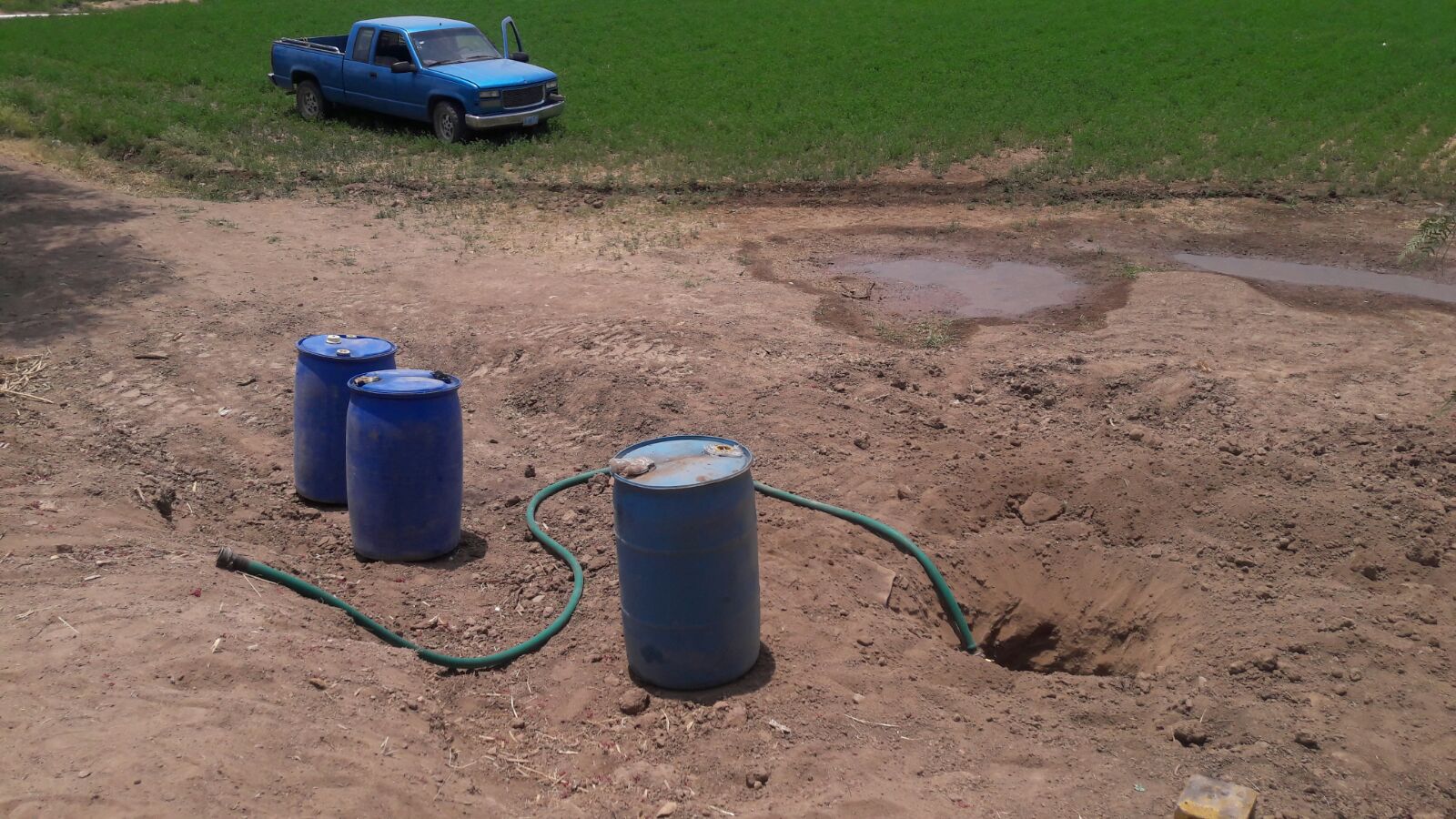 PFP asegura a cuatro Guachicoleros en Irapuato