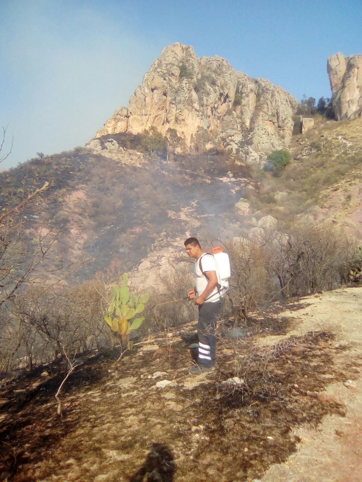 Se quema cerro de la bufa