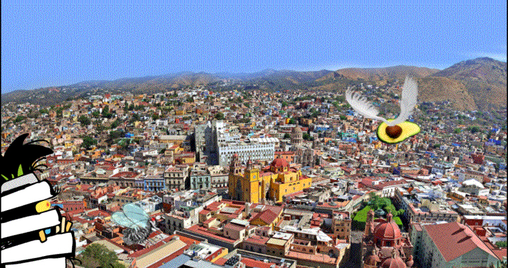 Y el aguacate en las alturas…