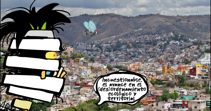 (Des) ordenamiento