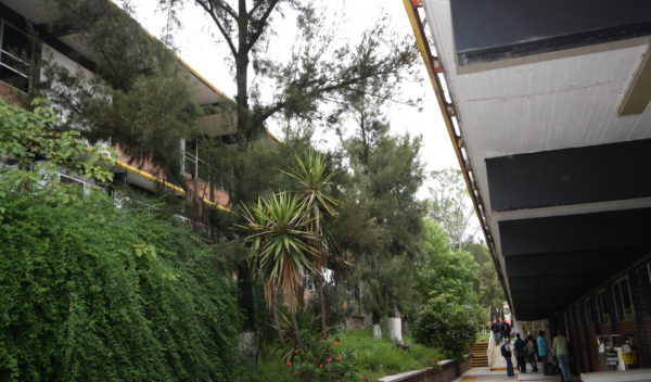 Organizará Universidad de Guanajuato encuentro Internacional de Ingeniería Química