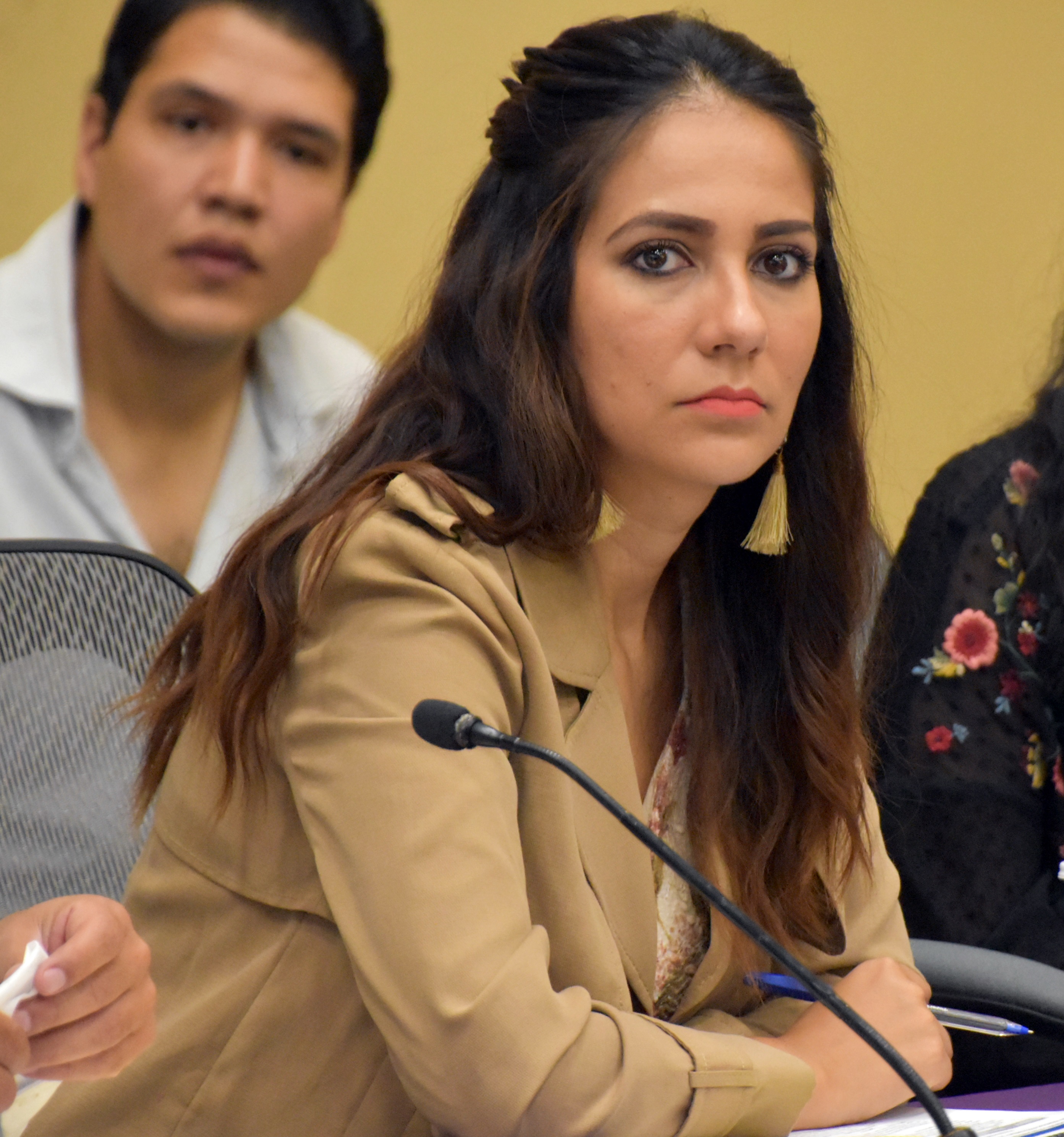 “Que se investiguen a fondo los moches en SDES”: Libia García