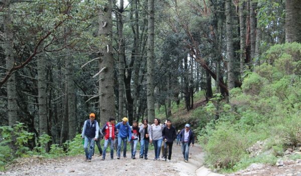 El CINUG converge en la reforestación de área natural protegida
