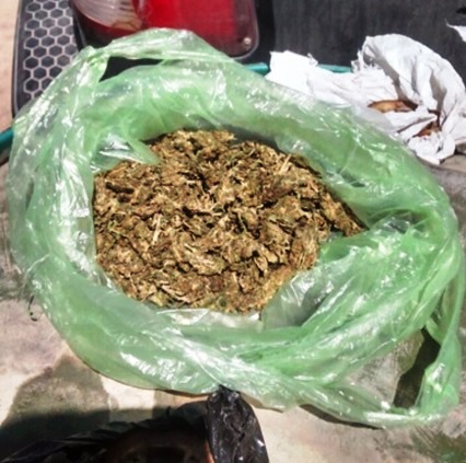Decomisan más de 2 mil drogas en diferentes municipios de Guanajuato