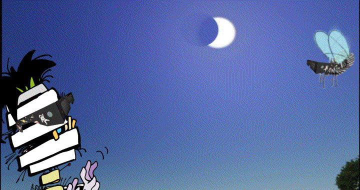 Eclipse