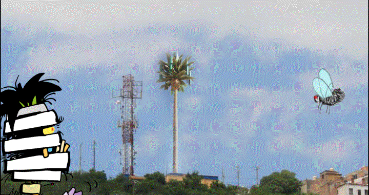 Esa palmera