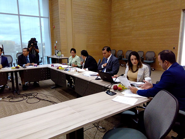 Participación ciudadana en SEA sólo con expertos