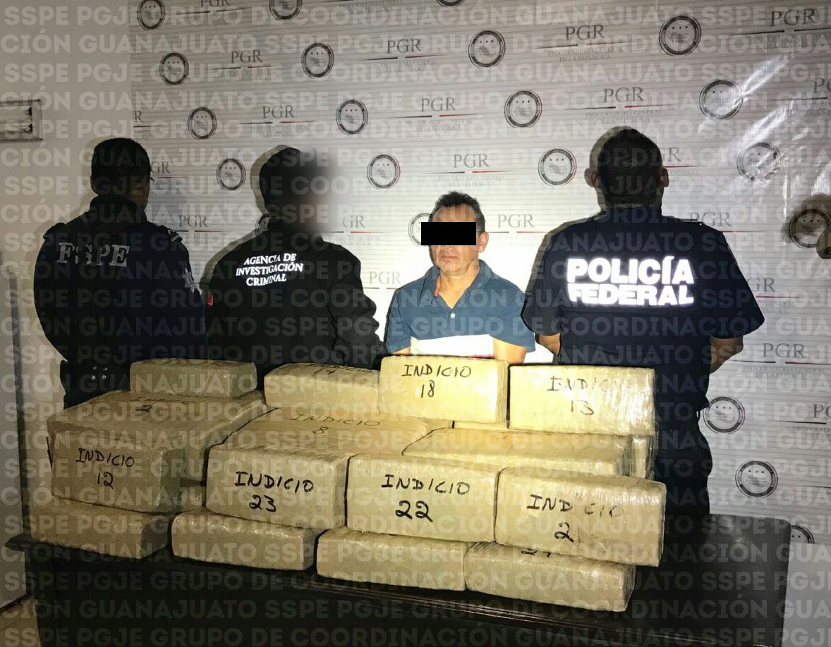 Grupo de Coordinación Guanajuato, asegura 100 mil dosis de mariguana