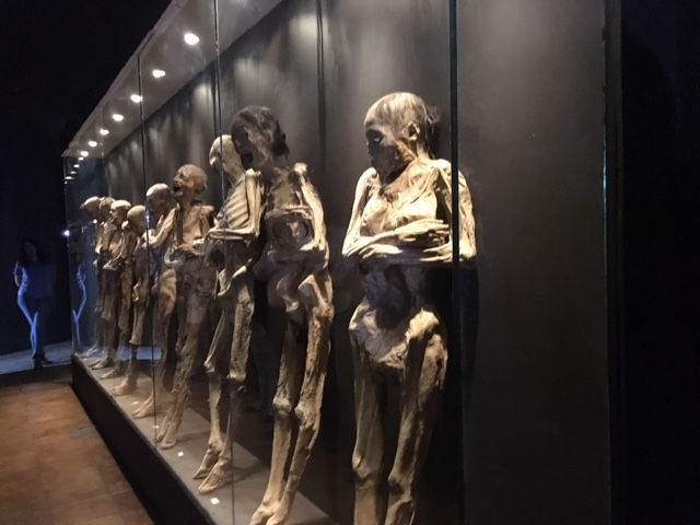 Ampliación del museo de las momias, en el limbo