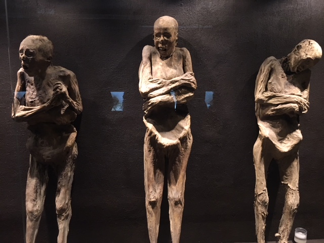 Museo de momias cumple con sus pronósticos de visitantes