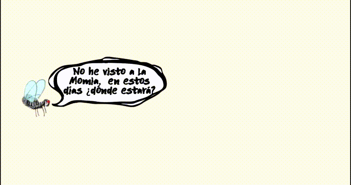 Buen fin