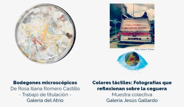 Bodegones microscópicos y fotografías que reflexionan sobre la ceguera en los espacios de arte de la UG