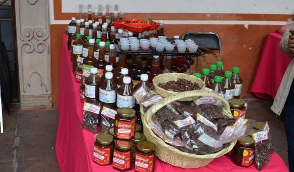 Impulsa IEC concursos  y exhibiciones de Culturas Populares en 2017