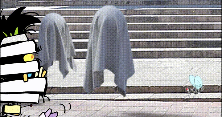 Son las intercampañas