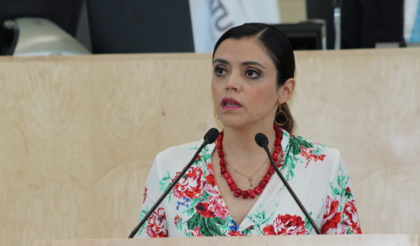GPPRI propone ampliar la protección a los derechos humanos en la ley del ISSEG