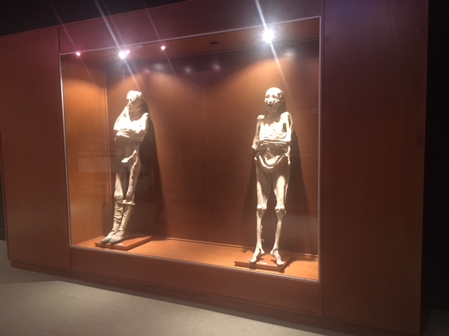 Mejoran exposición del museo de las momias