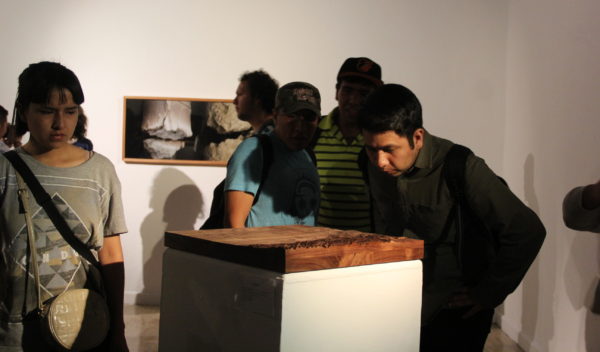 «Implante” de Marcela Armas se presenta en la galería Polivalente de la UG