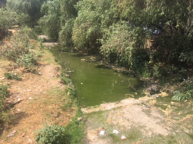 Siguen descargas de aguas negras al rio Pastita