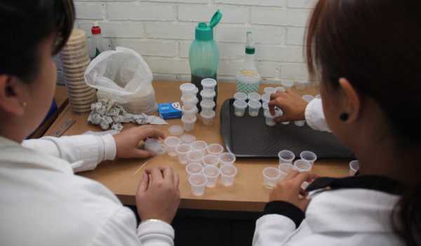 Impulsan la ciencia y el desarrollo tecnológico a través de VIDA UG