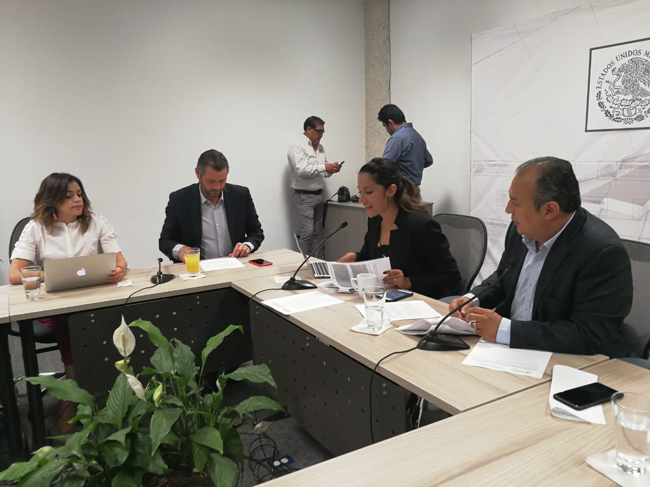 Aprueban licencia para la diputada Arcelia González