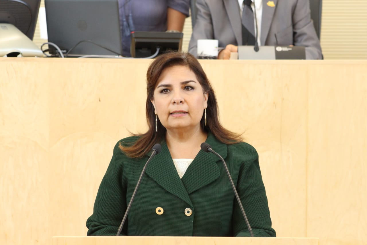 Insiste coordinadora del PVEM en la creación de la secretaría de Medio Ambiente