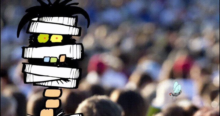 La propuesta