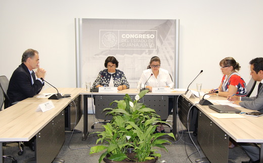 Avalan iniciativas en materia de violencia política