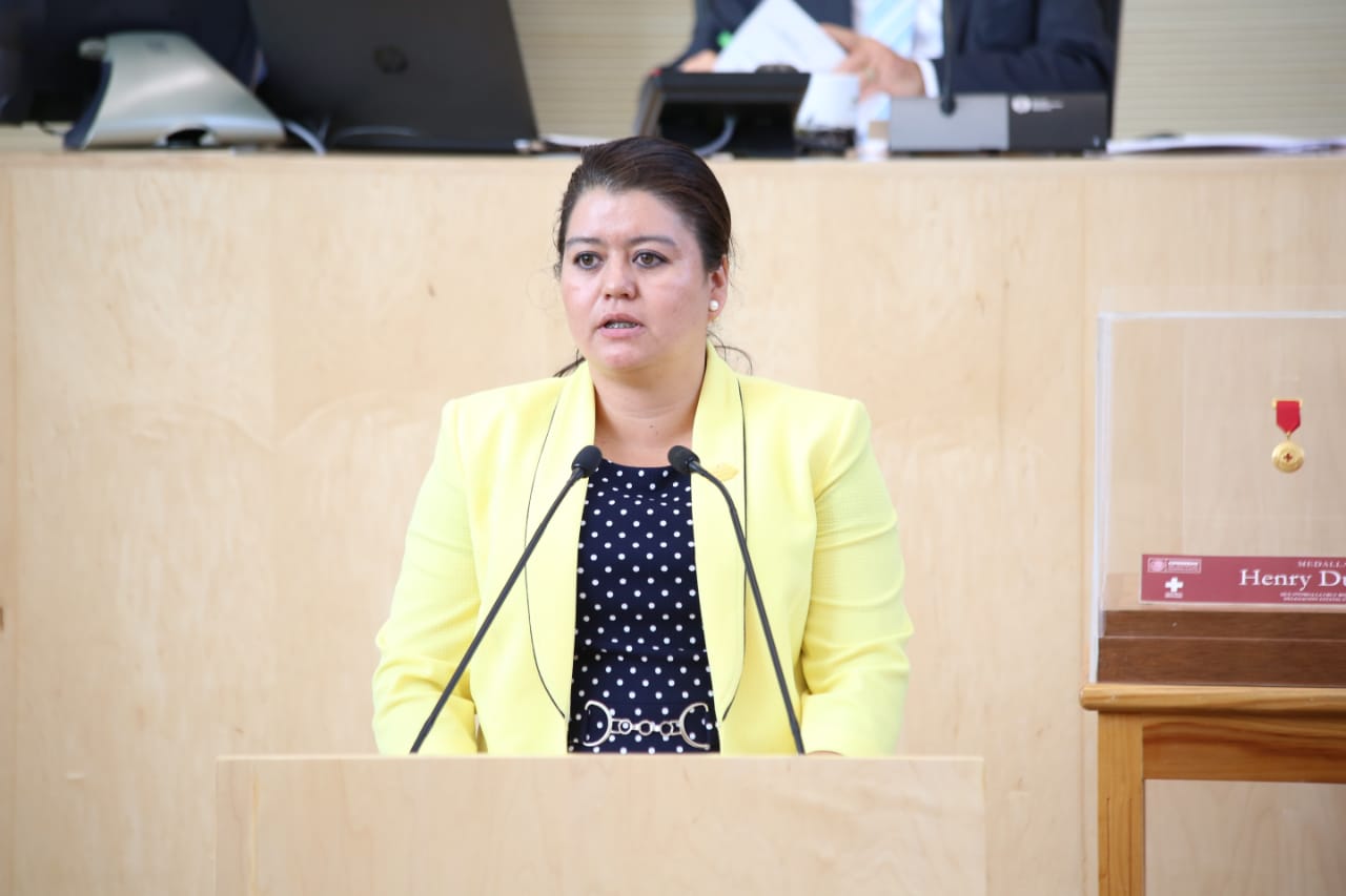 Insisten desde el legislativo, adecuar infraestructuras municipales para los ‘toritos’