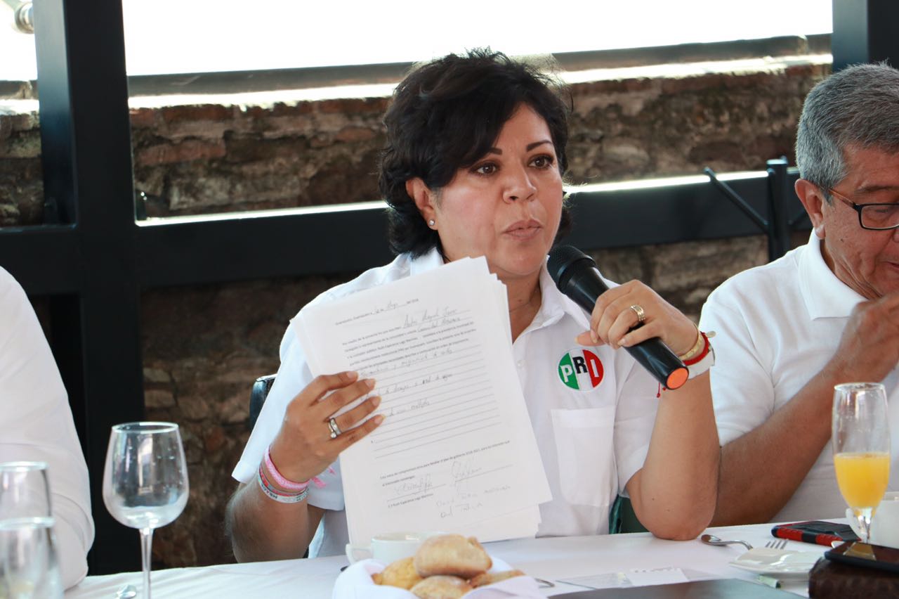 Comandancias regionales y casetas inteligentes propone Ruth Lugo