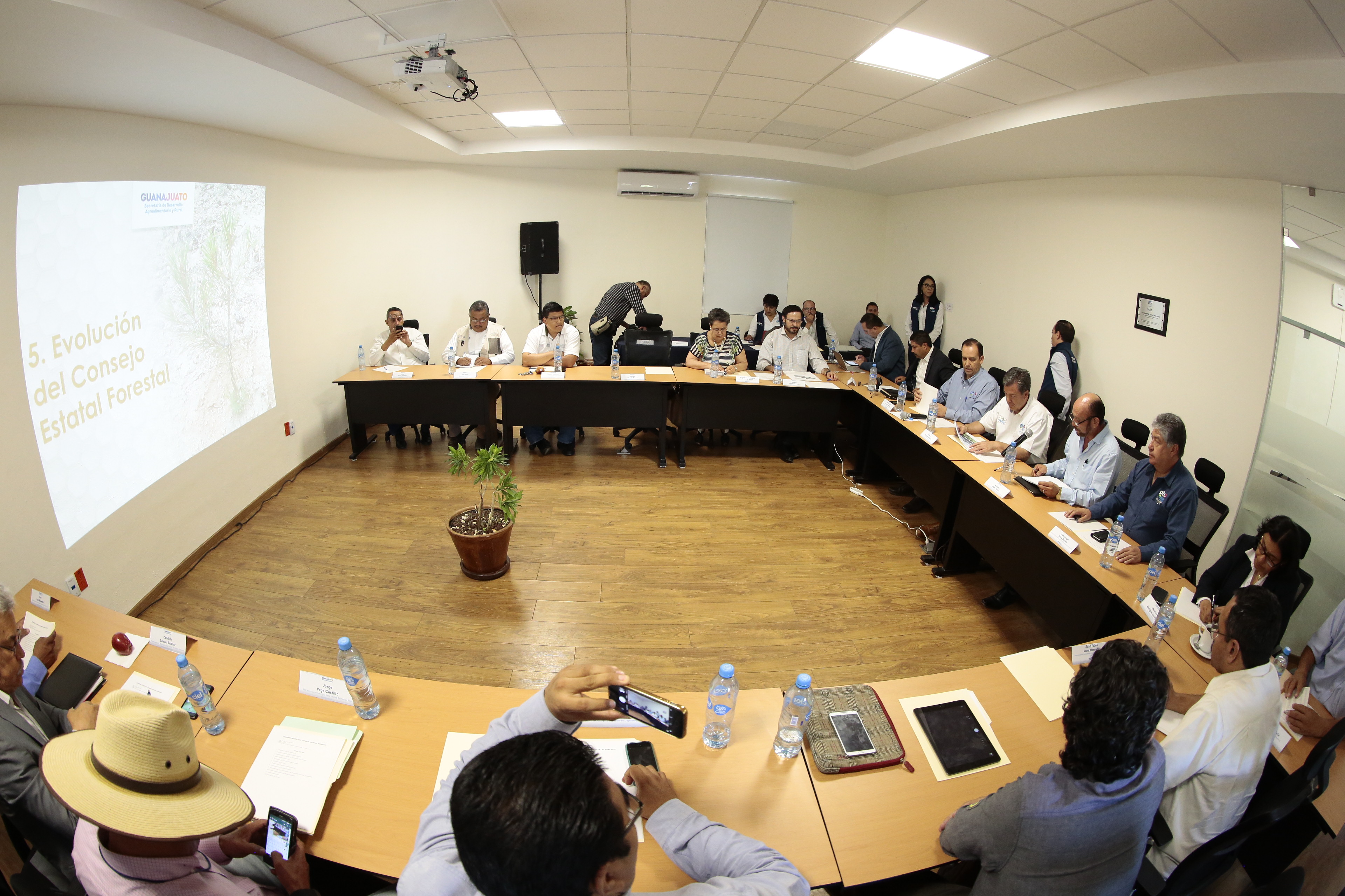 Sesiona el Consejo Estatal Forestal