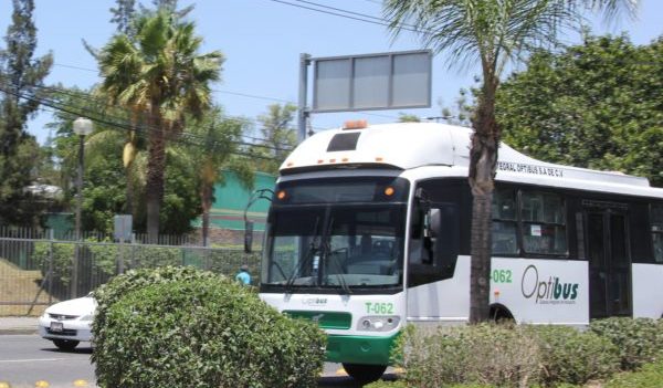 UG ofrecerá cursos gratuitos en línea a usuarios del SIT