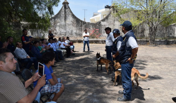 Muestra ENMS Irapuato, la opción de vigilancia canina al CNMS UG