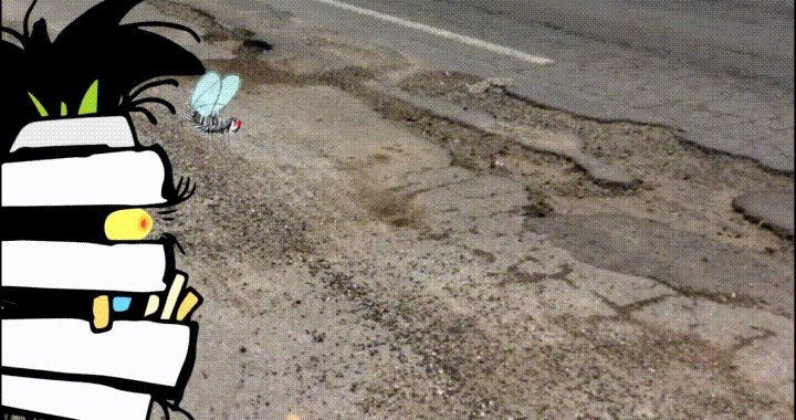 Baches
