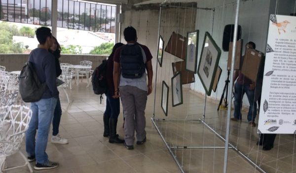 Inauguran exposiciones artísticas en el Campus León 