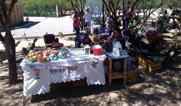 Realizan Festival Artesanal y Gastronómico en Arroyo Seco