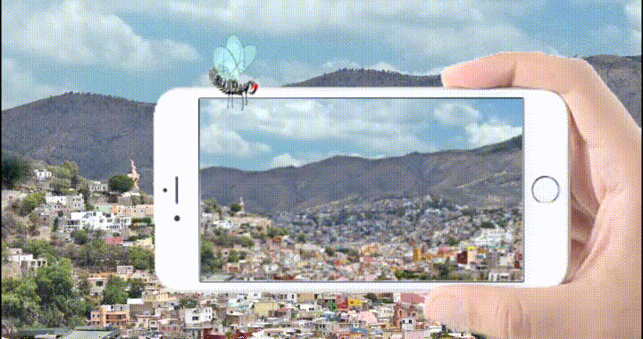 Lo que no sale en la foto