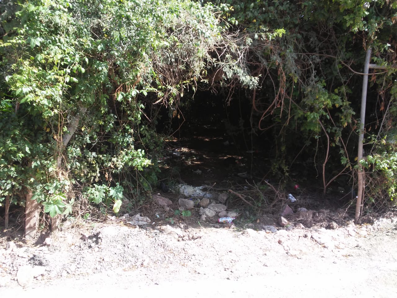Asaltan en terreno baldío