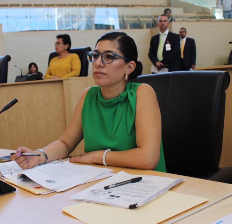 Presentará PVEM reformas en matería de transparencia