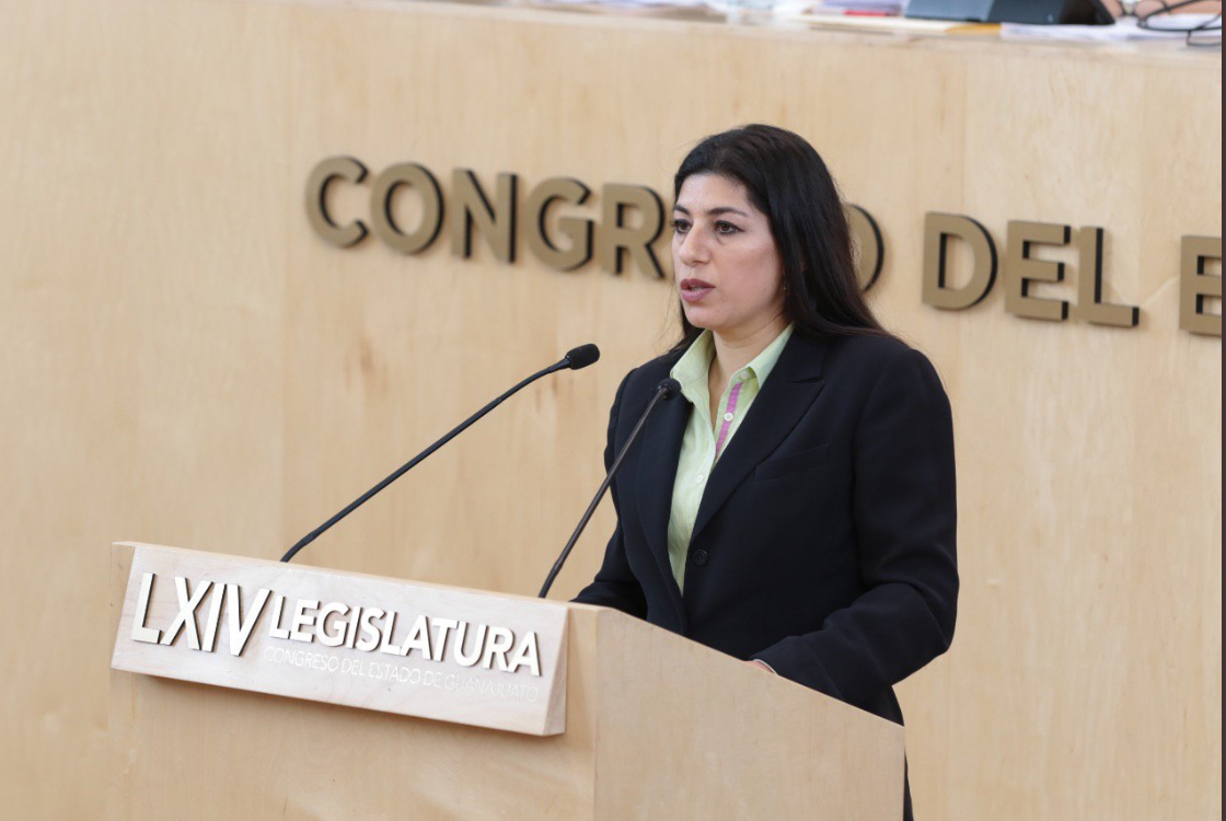 Busca PVEM auditar licitación de medicamentos