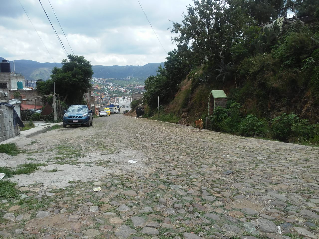 Roban dos casas en colonia la Luz