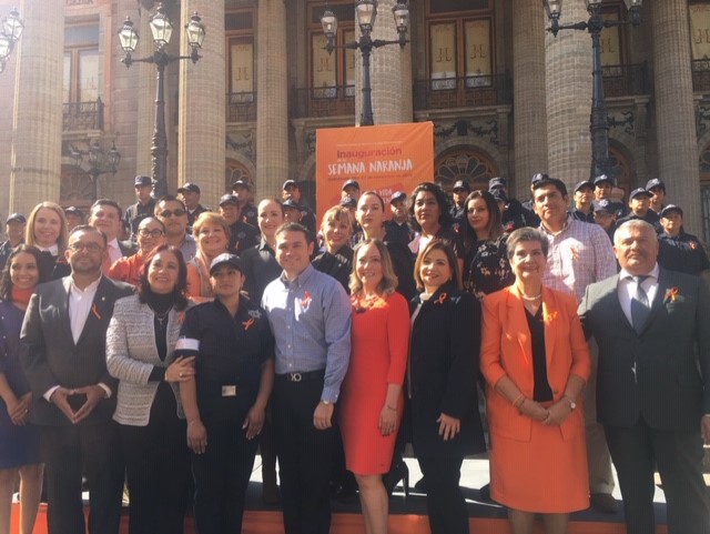 Registran en el año 483 atenciones por violencia