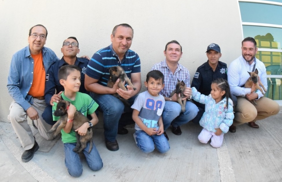 Entrenan a cachorros en la secretaría de Seguridad Ciudadana