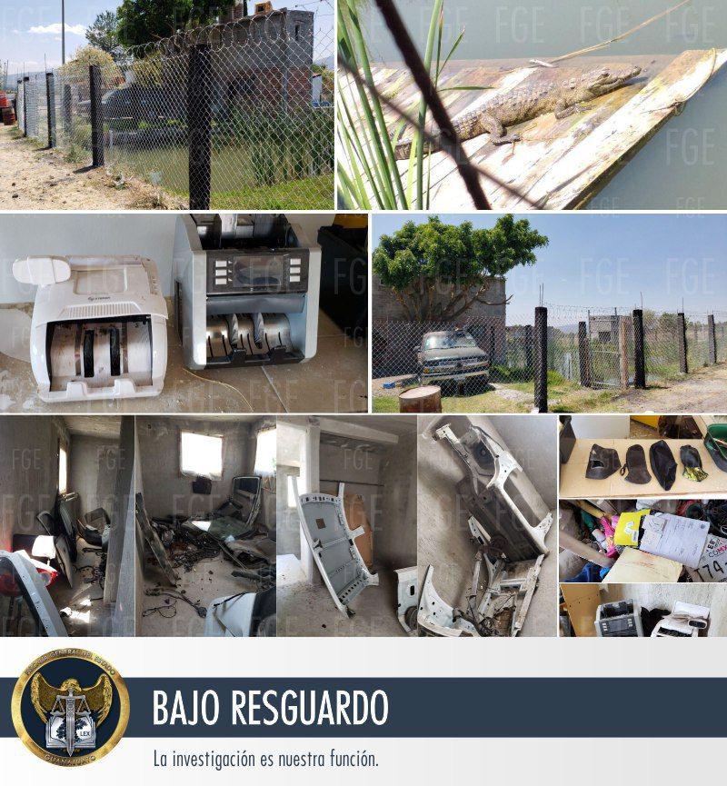 Recupera AIC vehículos robados y reptiles