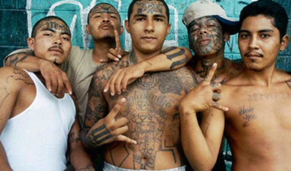 Pandillas