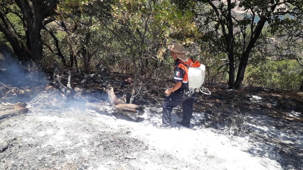 Sofocan fuego en cerro de Chichíndaro