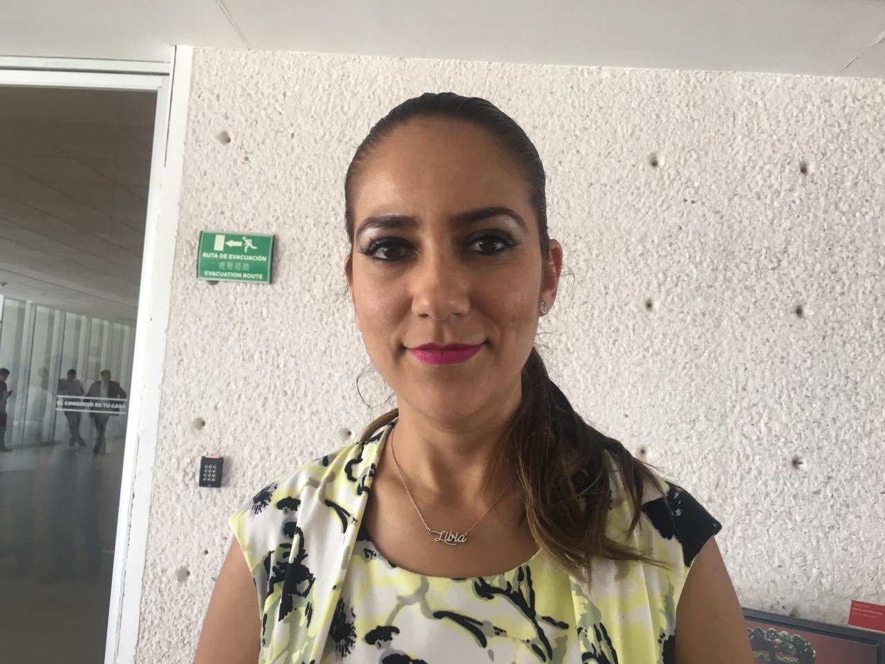 Revisará Congreso licitaciones de obra pública