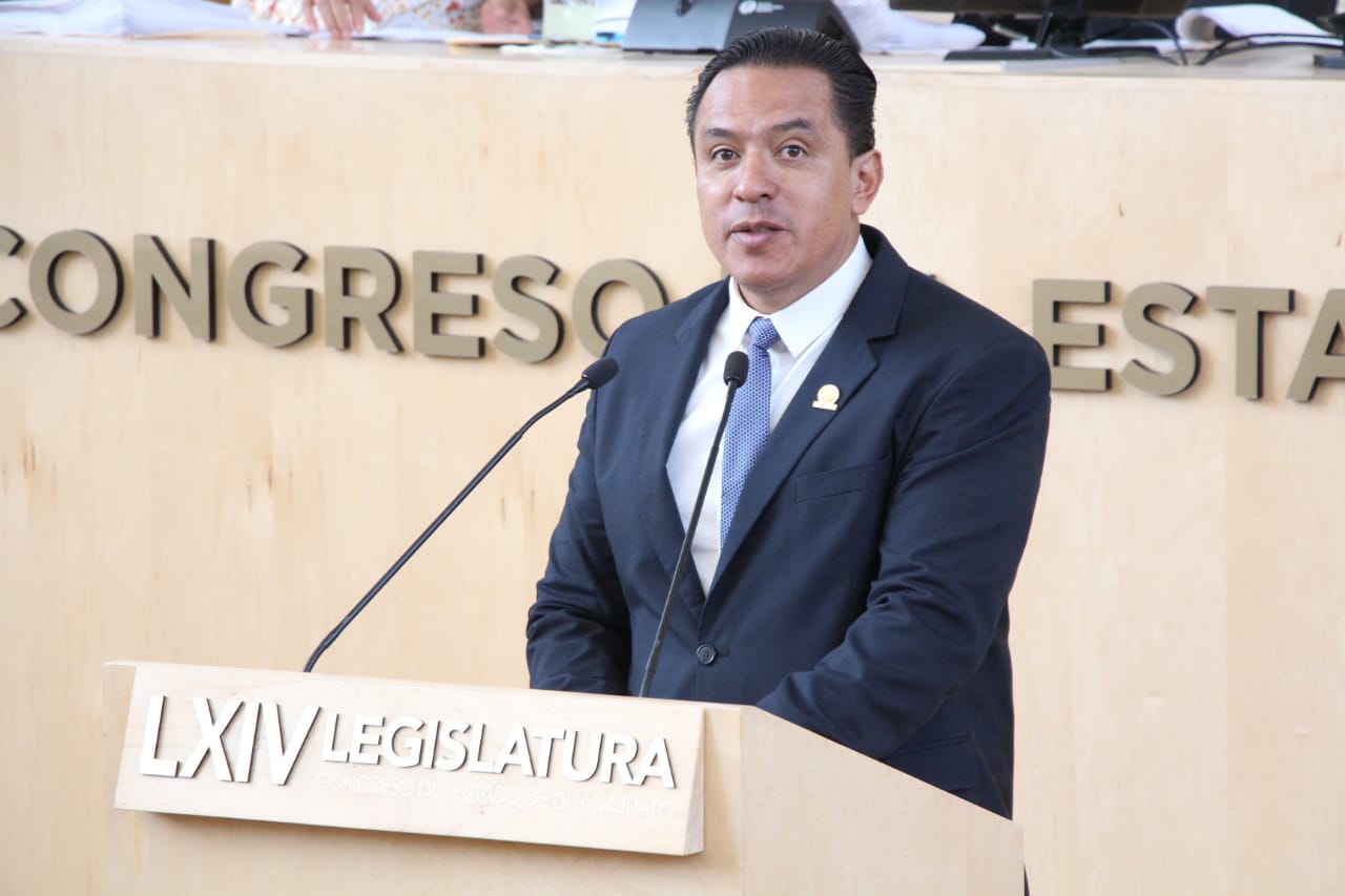 Buscan proteger abejas