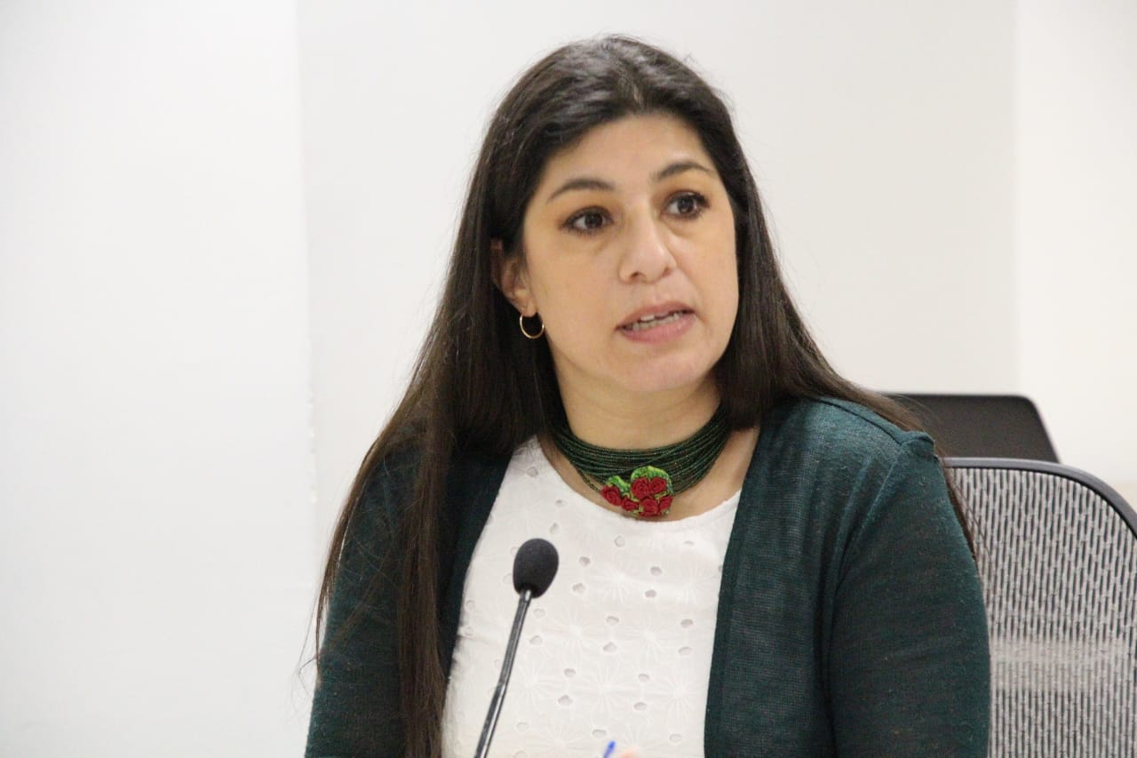 PVEM votará en contra de disposiciones de chatarreras