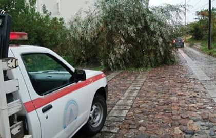 Guanajuato en riesgo de inundación antes posibles tormentas