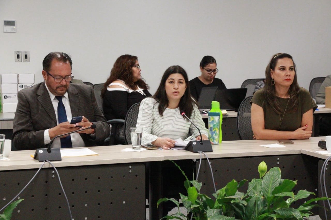 Quiere PVEM evitar que se pinten edificios partidistas